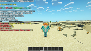 更好的F3 (BetterF3) & 更多！