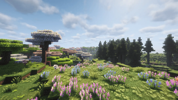 建造房屋的好地方！
