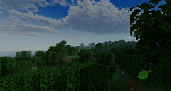 05_forest_clouds_ultra.jpg