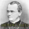 Mendel's Bees汉化包