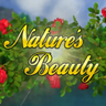 自然之美 - Nature's Beauty