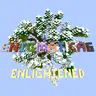 Enlightened 6 Expert - En6E汉化包