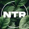 NeoTech Reborn汉化包