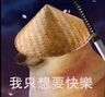 磷叶石没有愿望
