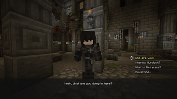 乌鸦阿伦，大厅中的非玩家角色