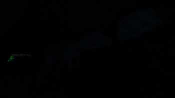 恐怖生存（1.12.2） - All The Horror (1.12.2)