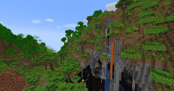 带有恐怖洞穴的雨林。