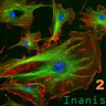 Inanis 2汉化包