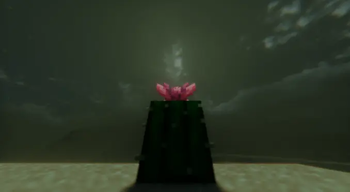 沙漠午夜