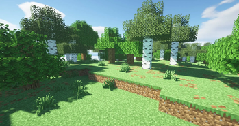 forest.jpg