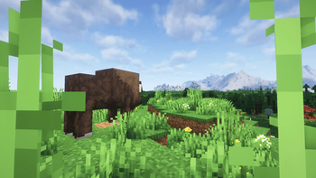 平原上的野生动物