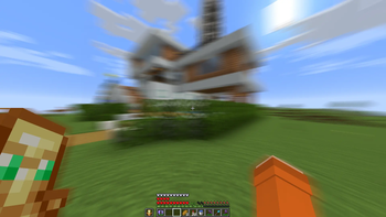 动态模糊 (可选)