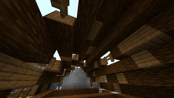 自动曝光(可选)