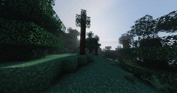 针叶林 2 - 白天.png