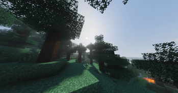 针叶林 1 - 白天.png