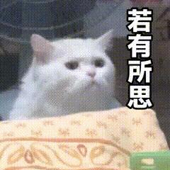 替换为描述