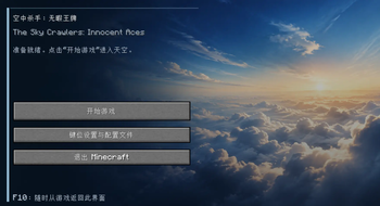 空中杀手：无瑕王牌