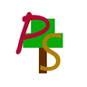 ProjectS汉化包