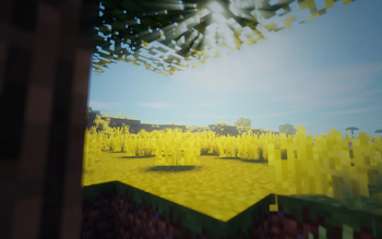 Ziipzaap's Shader