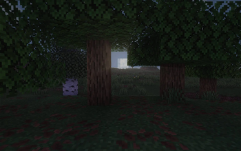 compressed_8.jpg