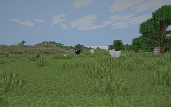 compressed_12.jpg