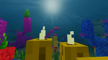 测试版 0.3.1