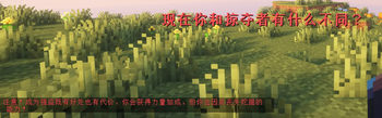 别杀村民！
