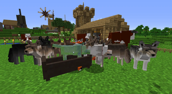 Base0