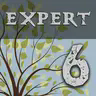 Enigmatica 6: Expert - E6E汉化包