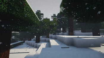 森林中的雪.jpg
