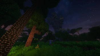 暮色森林 + 巫妖塔