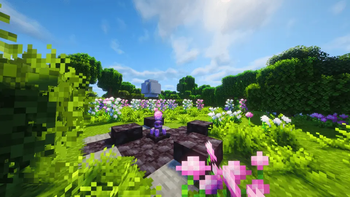 我们走过的生物群系：绒球葱灌丛 + 埃瑟里亚